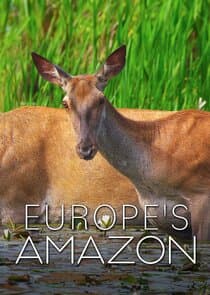 Europe's Amazon thumbnail