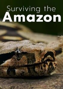 Surviving the Amazon thumbnail