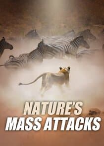 Nature's Mass Attacks thumbnail