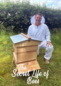 The Secret Life of Bees thumbnail