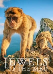 Jewels of the Mediterranean thumbnail