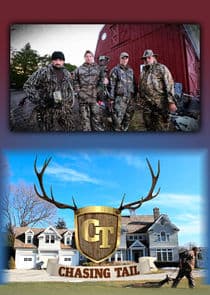 Chasing Tail thumbnail