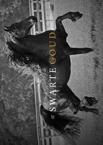 It Swarte Goud thumbnail