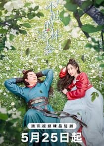 The Great Lin Qian Jin thumbnail