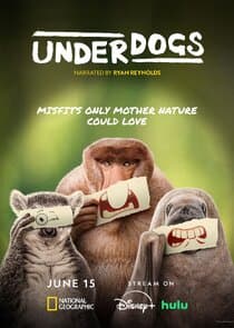 Underdogs thumbnail