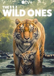 The Wild Ones thumbnail