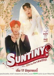 Suntiny thumbnail