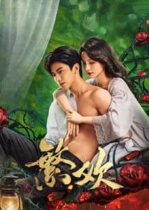 Fan Huan thumbnail