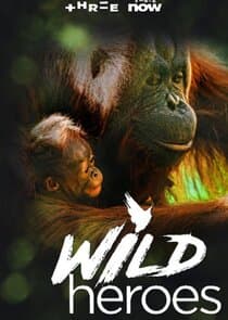 Wild Heroes thumbnail