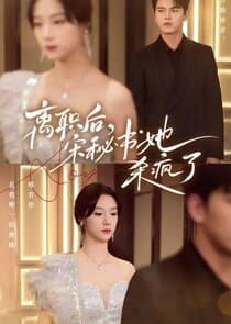 After Resigning, Secretary Song Went Crazy thumbnail