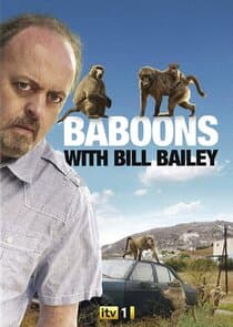 Baboons with Bill Bailey thumbnail