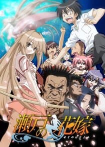 Seto no Hanayome thumbnail