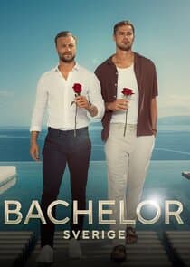 Bachelor Sverige thumbnail
