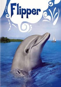 Flipper thumbnail