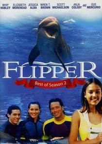 Flipper thumbnail