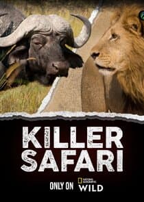 Killer Safari thumbnail