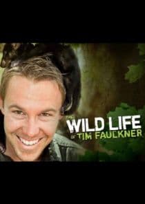 The Wild Life of Tim Faulkner thumbnail