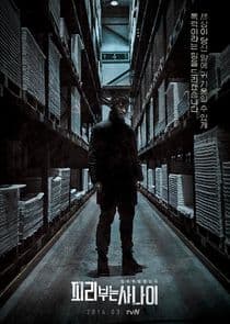 Pied Piper thumbnail