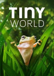 Tiny World thumbnail