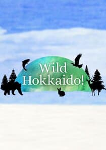 Wild Hokkaido! thumbnail