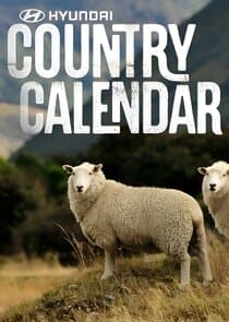 Hyundai Country Calendar thumbnail