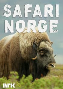 Safari Norge thumbnail