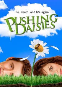 Pushing Daisies thumbnail