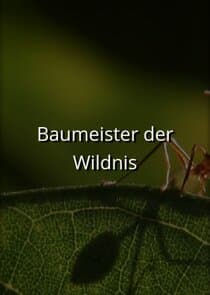 Baumeister der Wildnis thumbnail