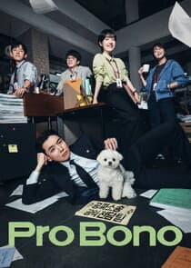 Pro Bono thumbnail