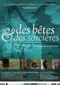 Des bêtes et des sorcières thumbnail