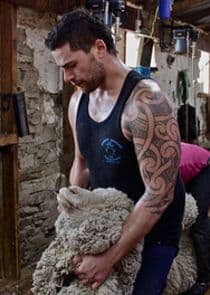 Shearing Gang thumbnail