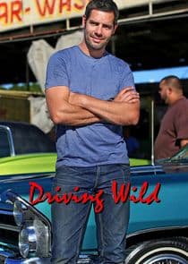 Driving Wild thumbnail