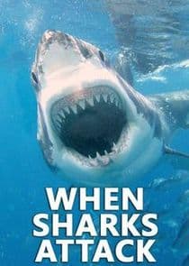 When Sharks Attack thumbnail