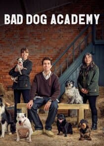 Bad Dog Academy thumbnail
