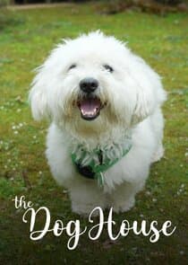 The Dog House thumbnail