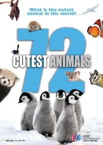 72 Cutest Animals thumbnail