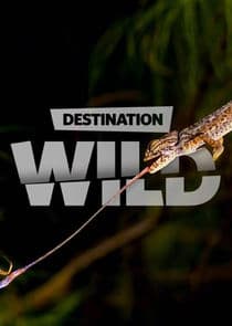 Destination Wild thumbnail