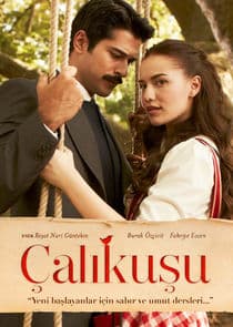 Çalıkuşu thumbnail