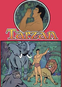 Tarzan, Lord of the Jungle thumbnail