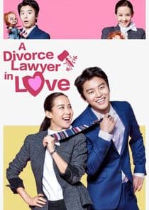 A Divorce Lawyer in Love thumbnail