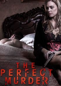 The Perfect Murder thumbnail