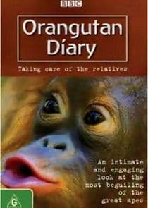 Orangutan Diary thumbnail
