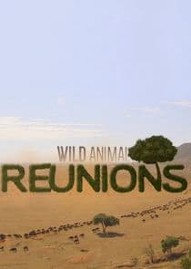 Wild Animal Reunions thumbnail