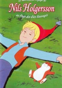 The Wonderful Adventures of Nils thumbnail