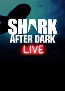 Shark After Dark thumbnail