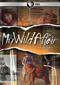 My Wild Affair thumbnail