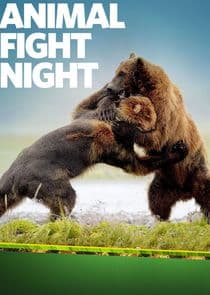 Animal Fight Night thumbnail