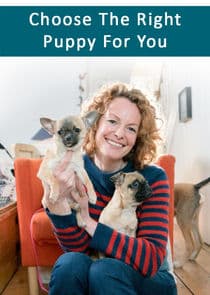 Choose the Right Puppy for You thumbnail