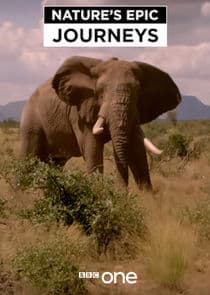 Nature's Epic Journeys thumbnail