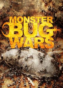 Monster Bug Wars thumbnail